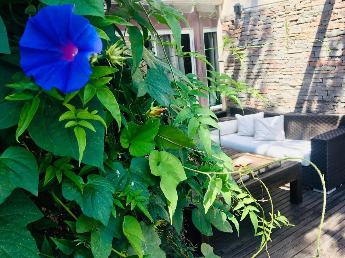 Cool Clima Bed & Breakfast Оливос Екстериор снимка